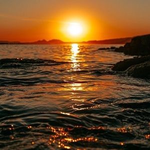 Meet your Posher, Monroe